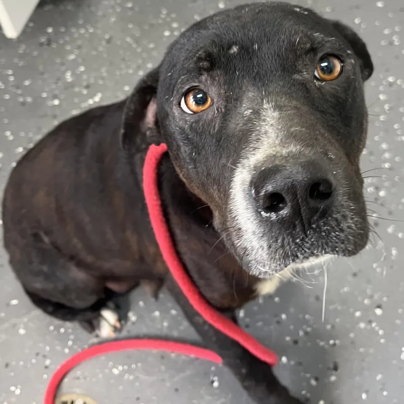 Momma City thumbnail 2