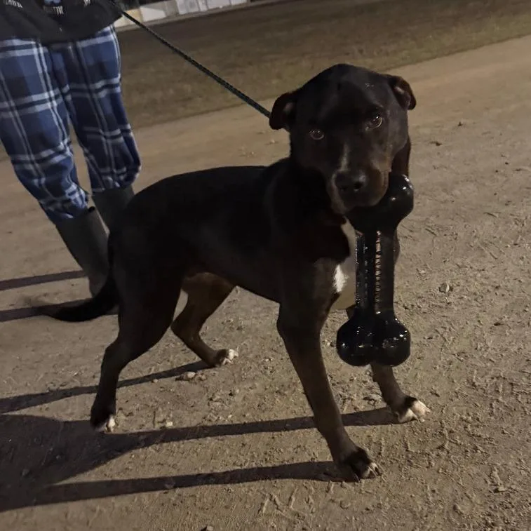 Momma City thumbnail 3