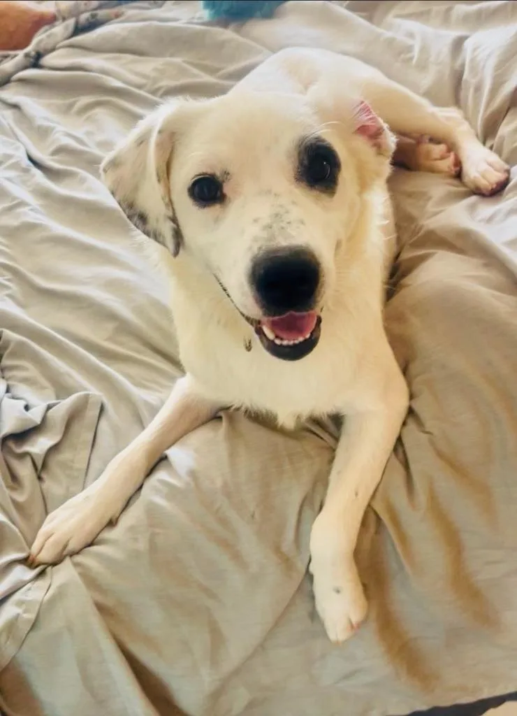 Charlie