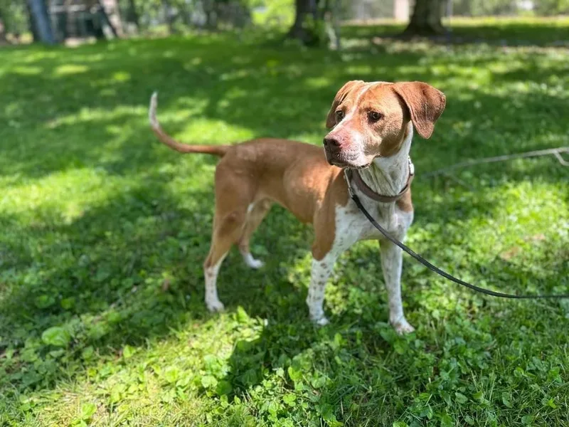 Sadie Courtest Post thumbnail 2