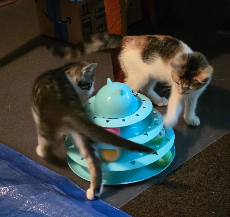 Xena & Gabby thumbnail 2
