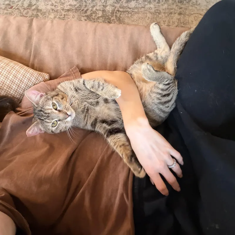 Theodora thumbnail 4