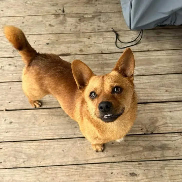 Paco thumbnail 6