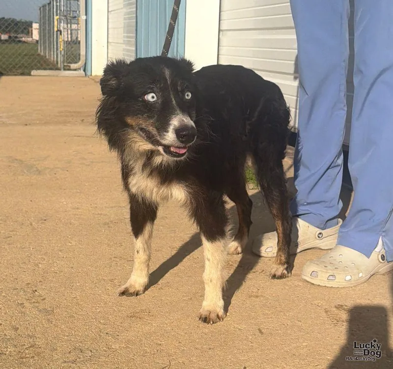 Tilly thumbnail 2