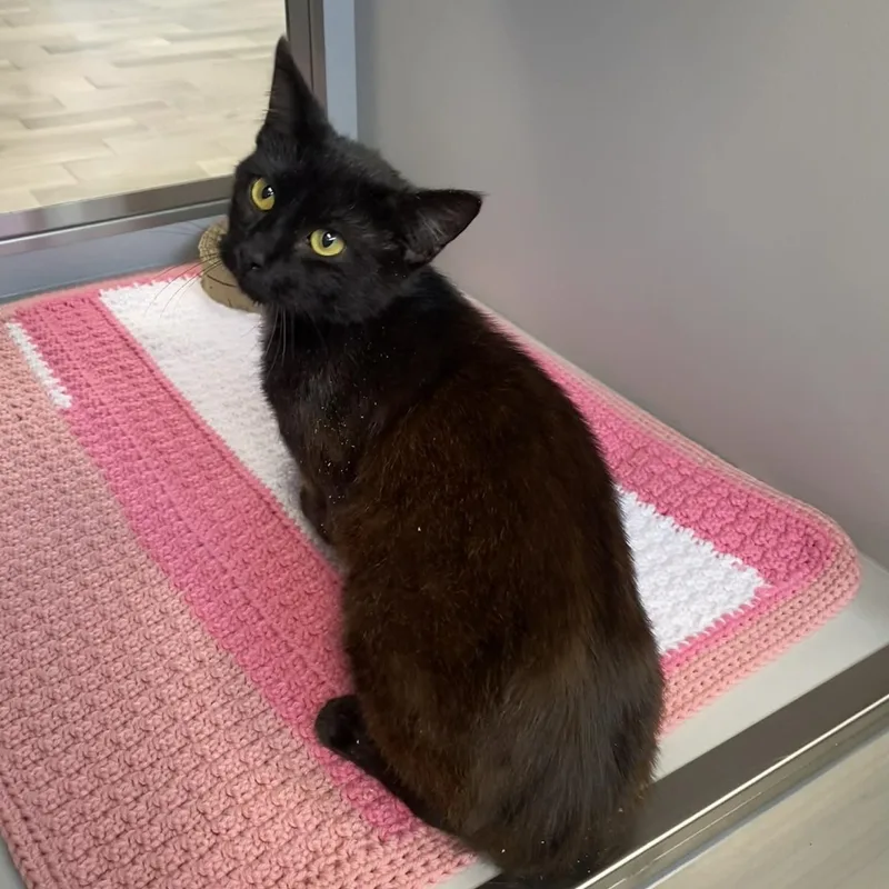 Pip