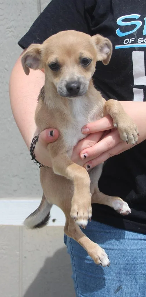 Esmerelda