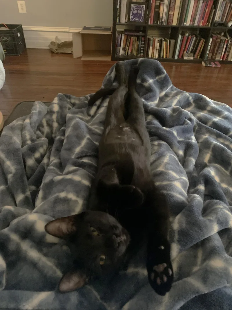 Mochi Walton thumbnail 2