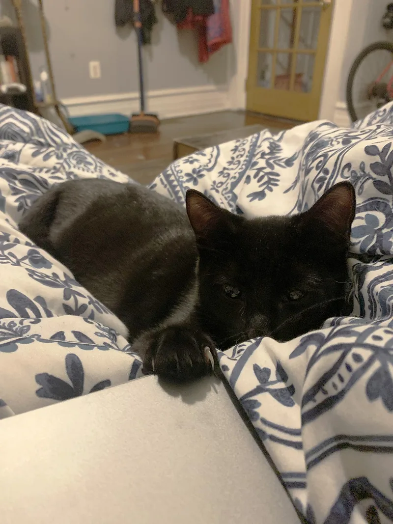 Mochi Walton thumbnail 3