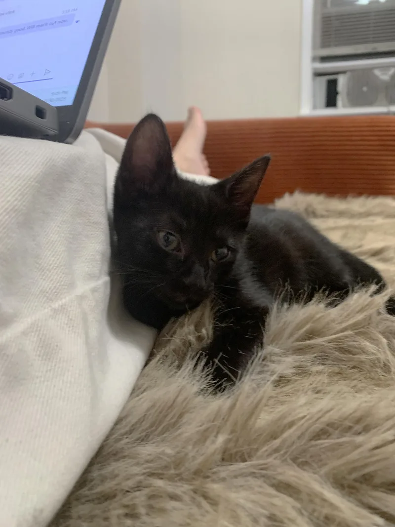 Mochi Walton thumbnail 5