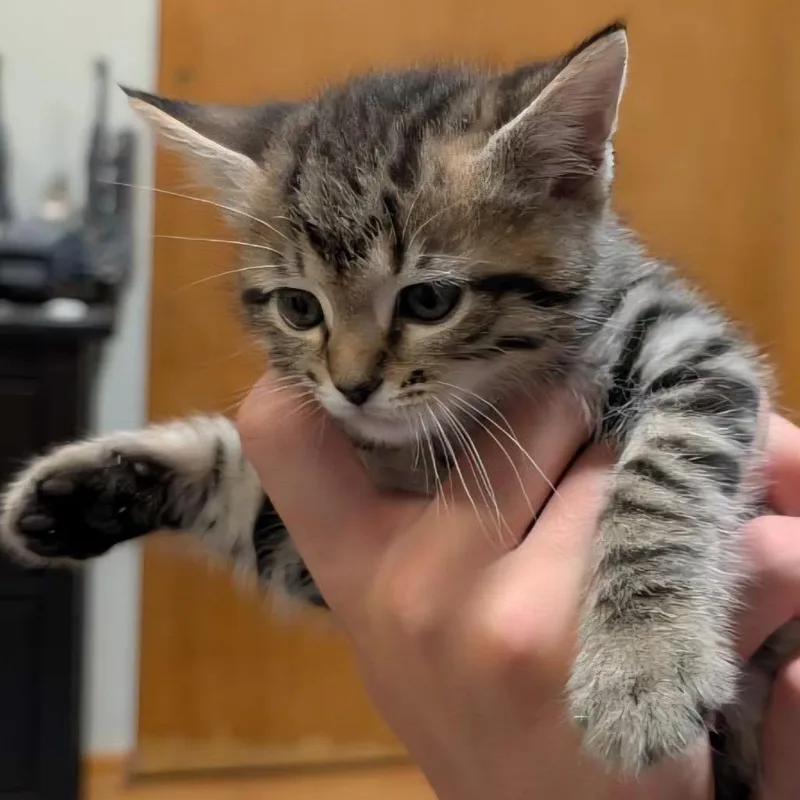 Sammie thumbnail 2