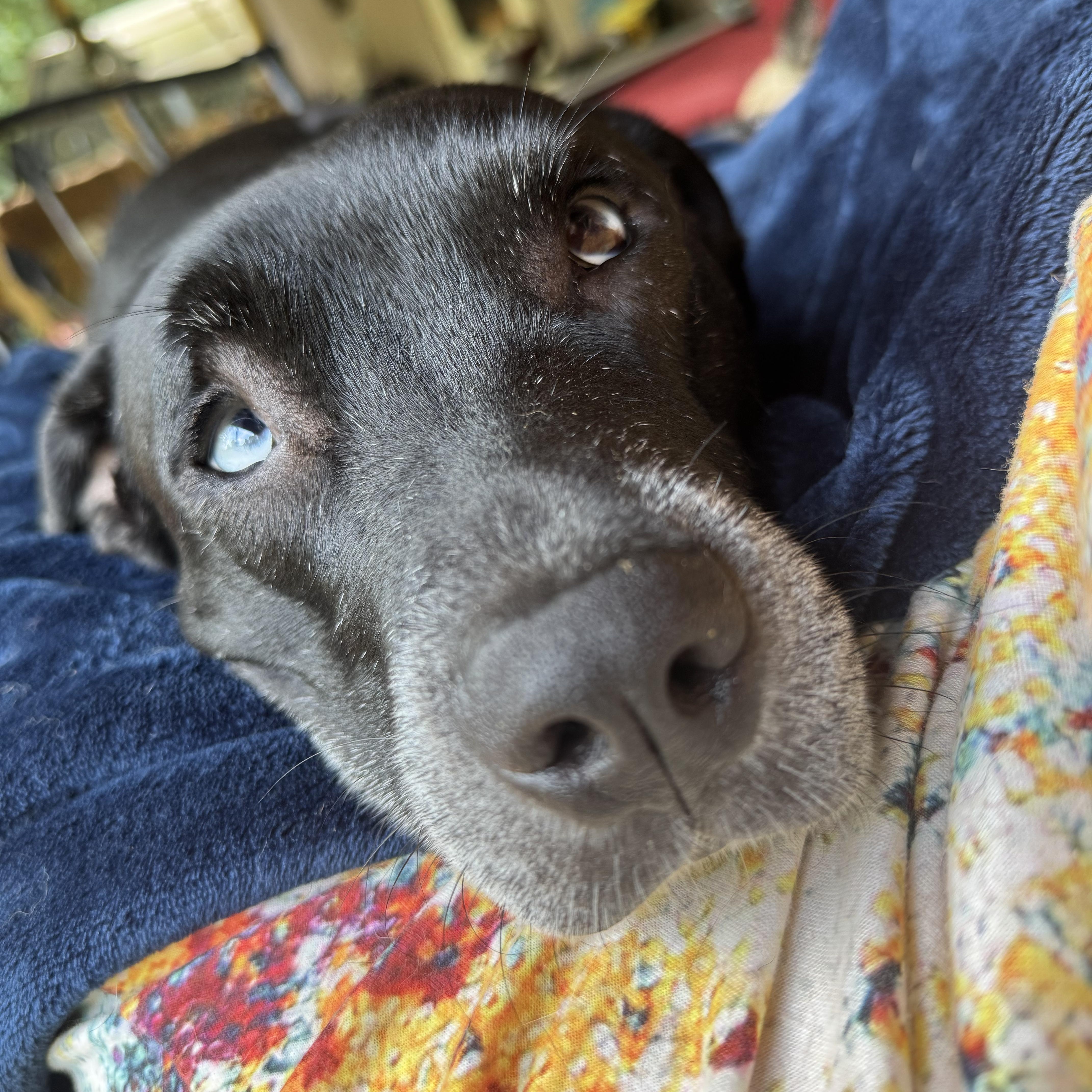 Indy Anna Jones thumbnail 2