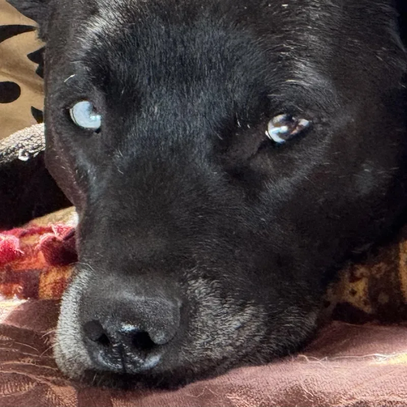 Indy Anna Jones thumbnail 5