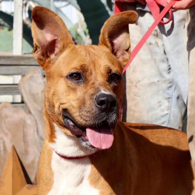 Gracie Belle Jum thumbnail 6