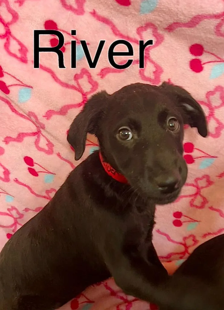 River