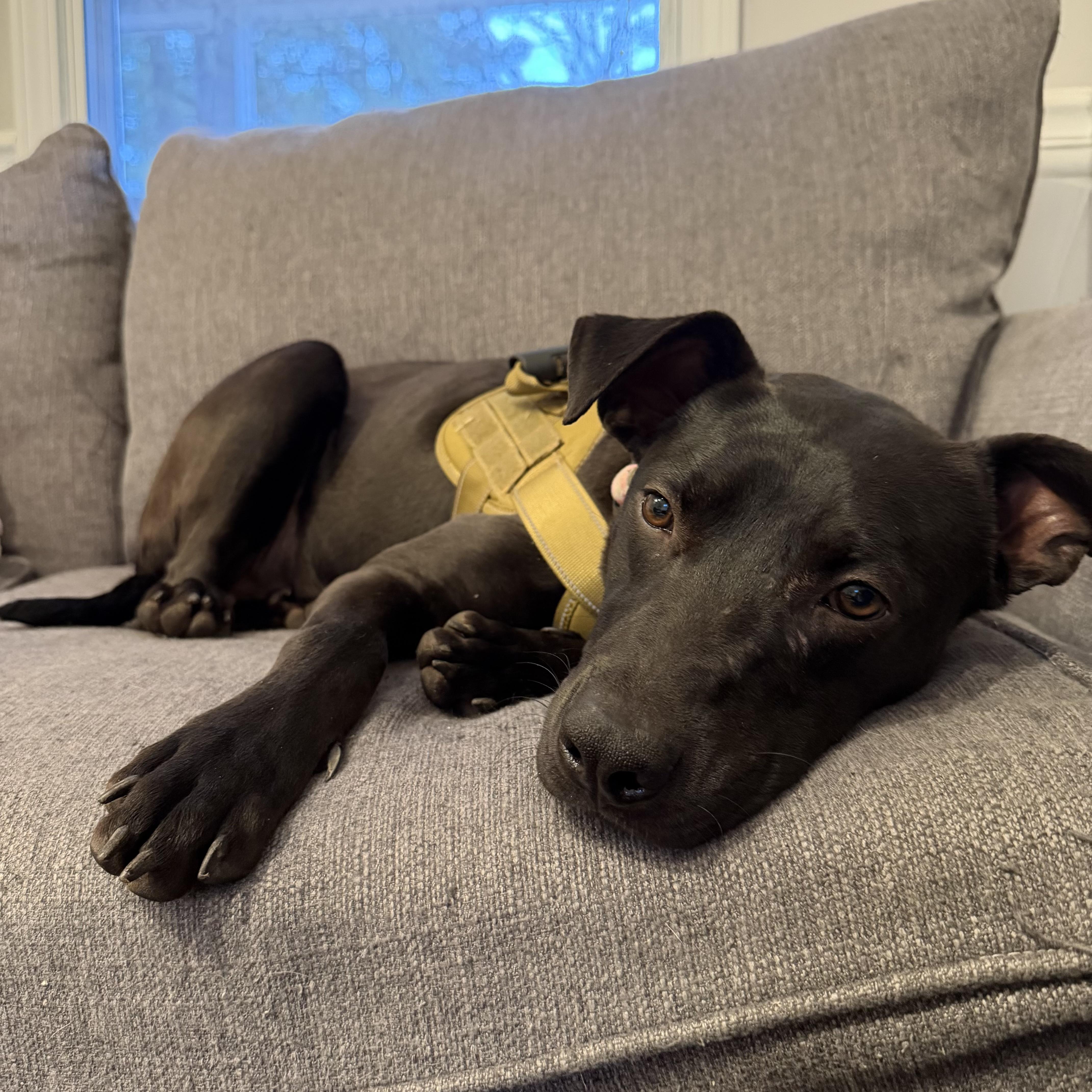 Five Points thumbnail 4