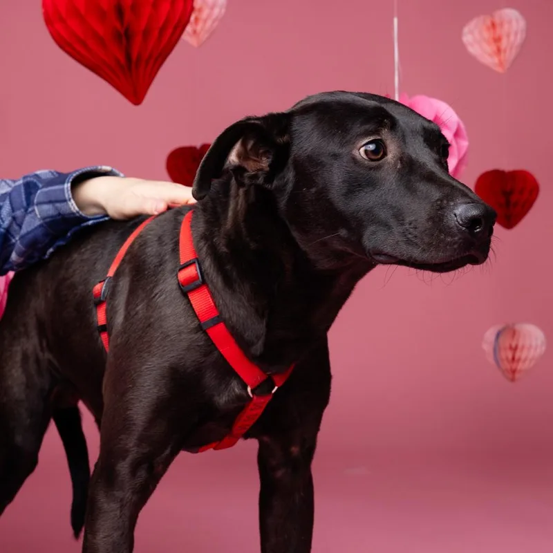 Five Points thumbnail 5