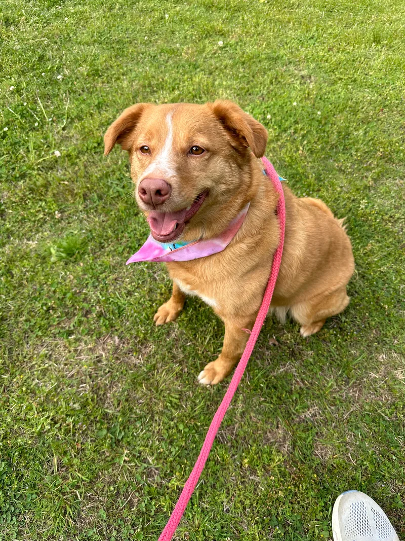 Hazel Jordan thumbnail 2