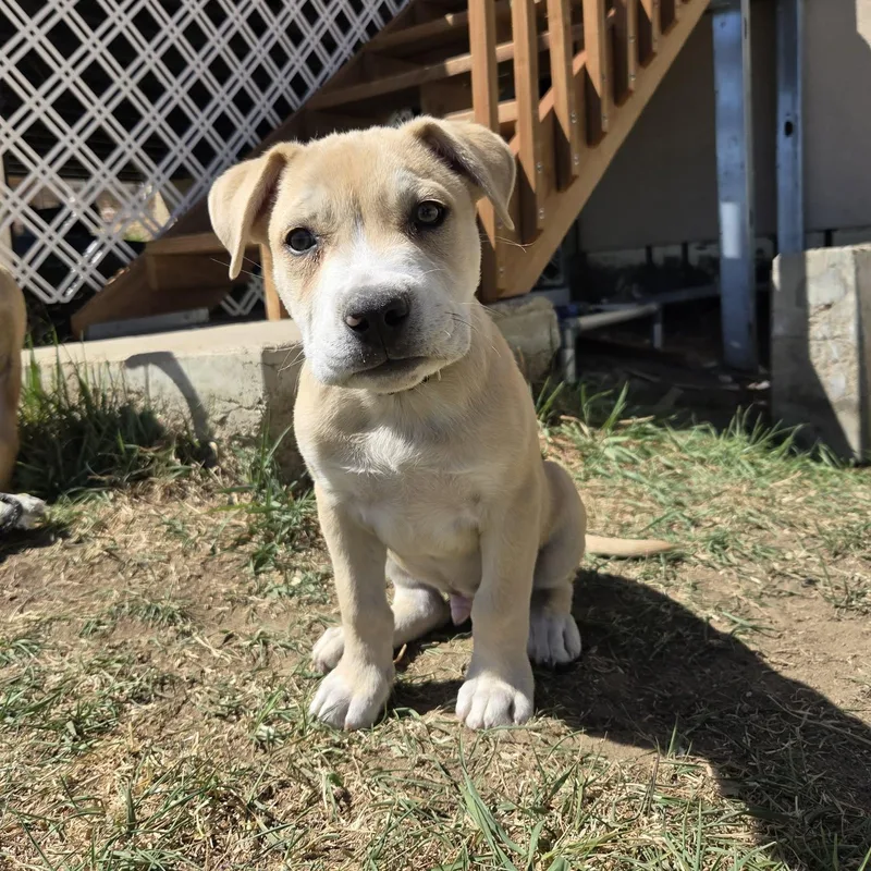 Bane thumbnail 6