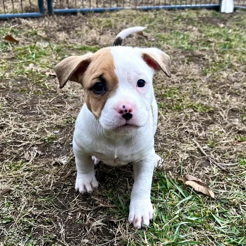 Delightful Derek thumbnail 5