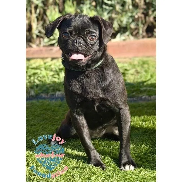 Piper Coh thumbnail 3