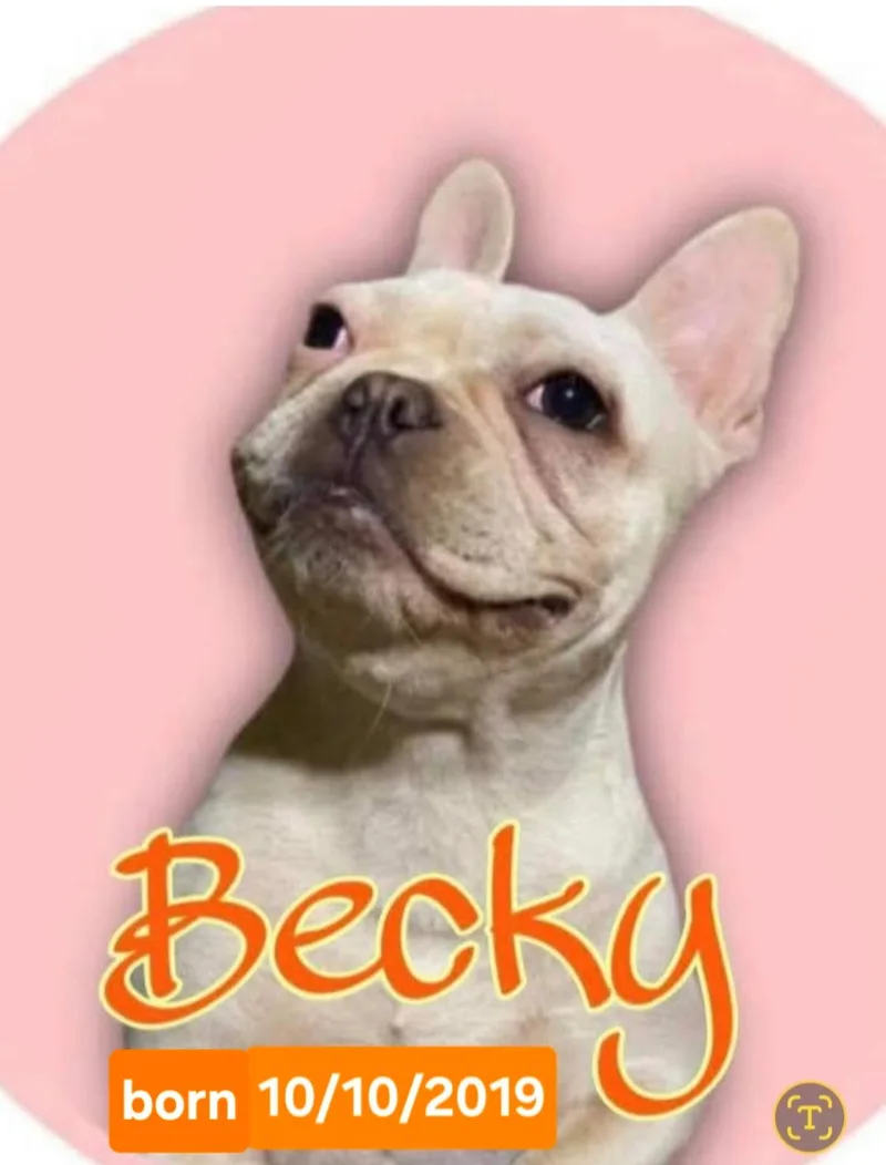 Becky thumbnail 2