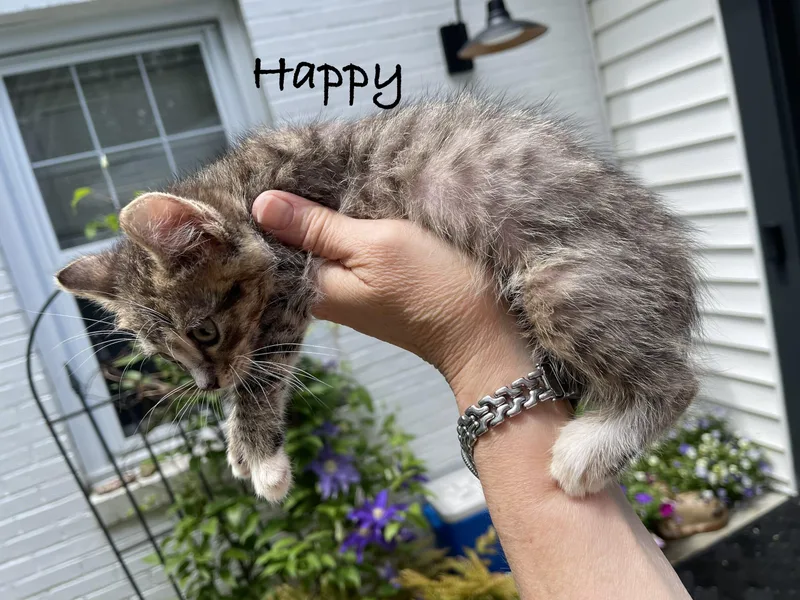 Happy thumbnail 5