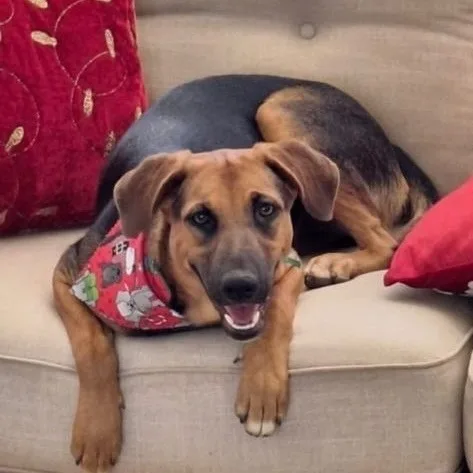 Roxy Lynn "loyal" thumbnail 2