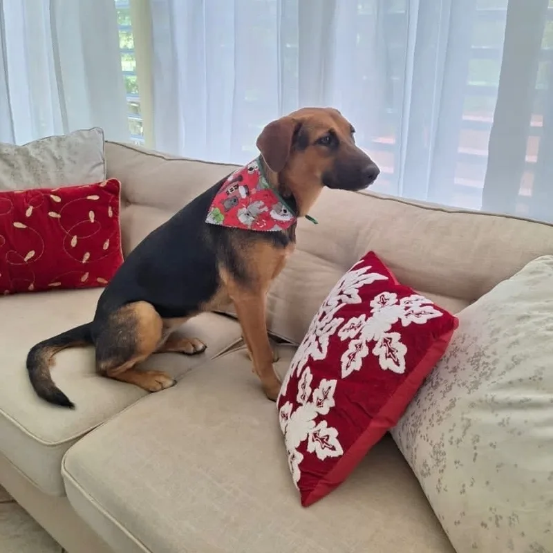 Roxy Lynn "loyal" thumbnail 5