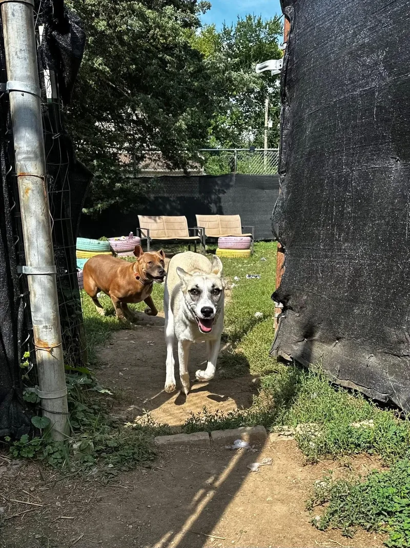 Sallie Jo thumbnail 3