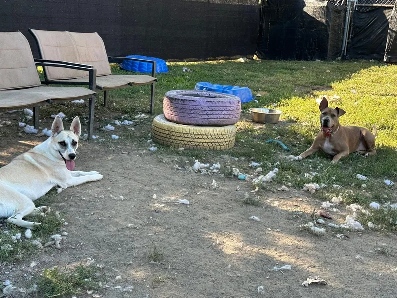 Sallie Jo thumbnail 5