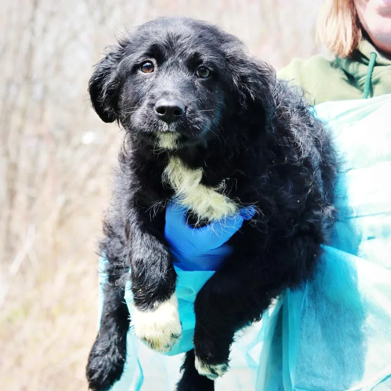 Ct Shirley thumbnail 5