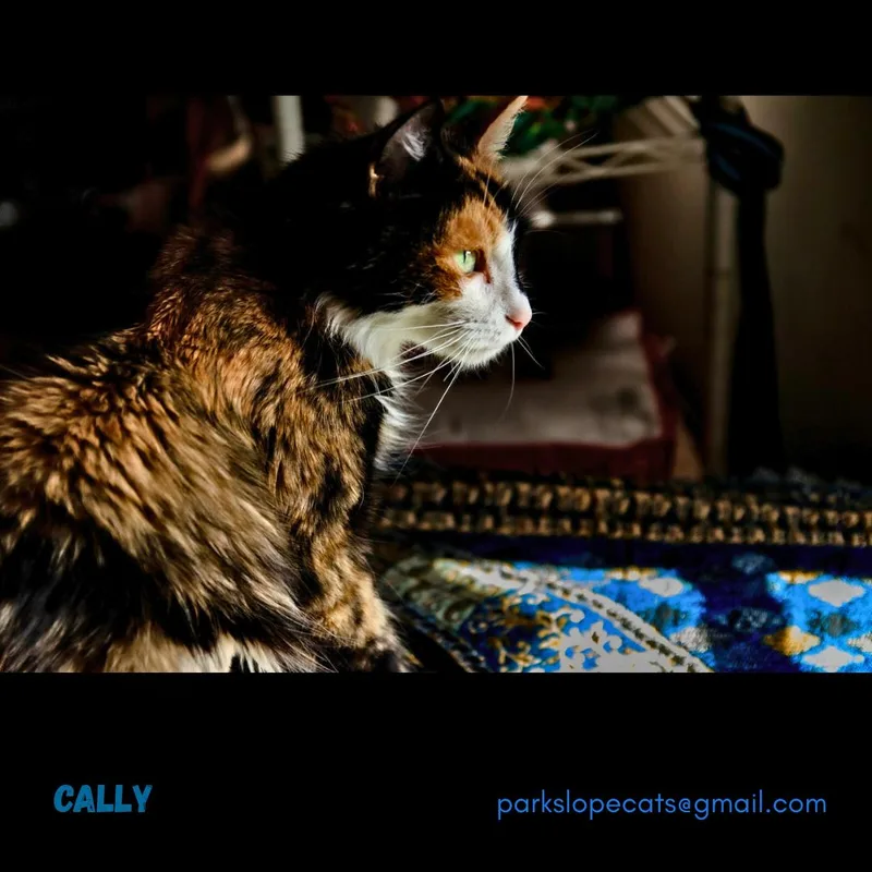 Cally thumbnail 3