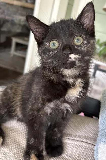 Pepper $ @ Petsmart thumbnail 2