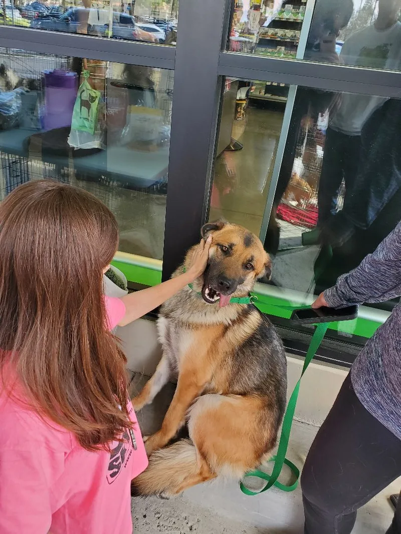 Ch Ch Ch Changes!! thumbnail 3