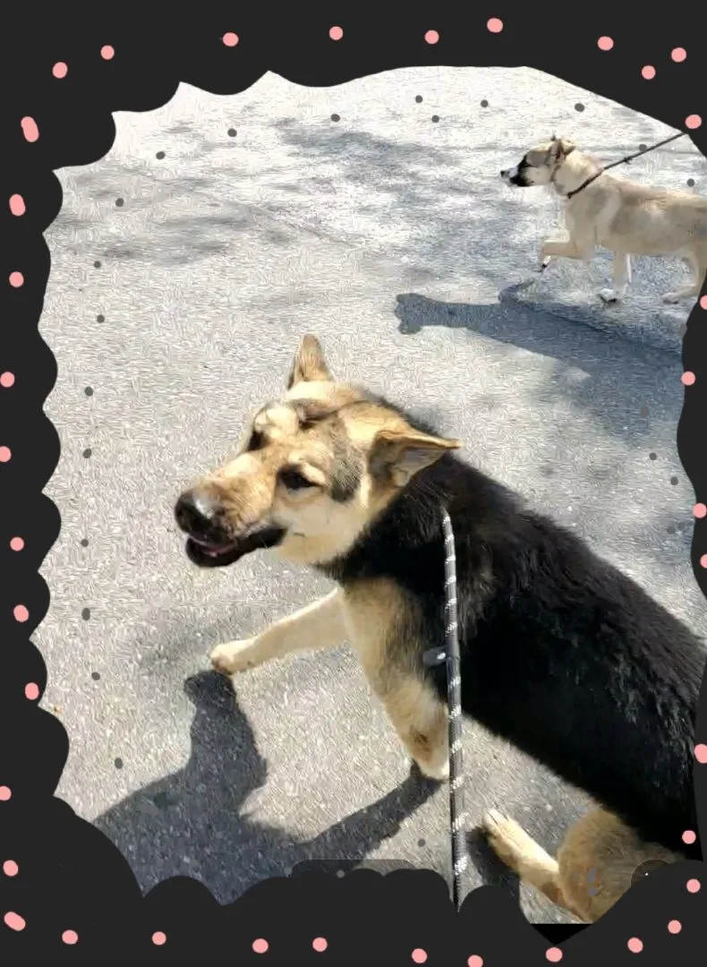 Ch Ch Ch Changes!! thumbnail 4