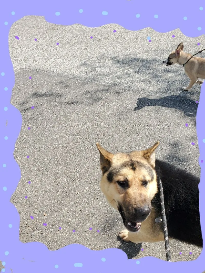 Ch Ch Ch Changes!! thumbnail 5