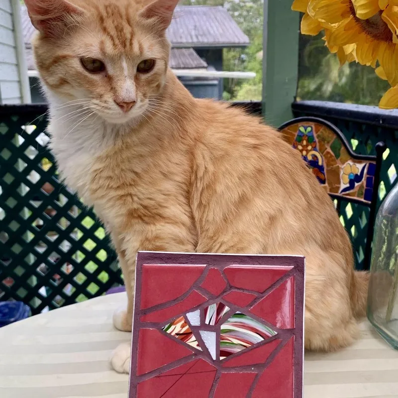 Garfield