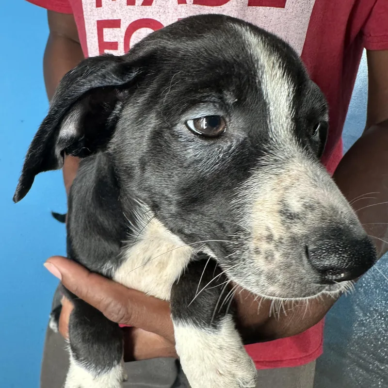 Jasper  Local April thumbnail 5