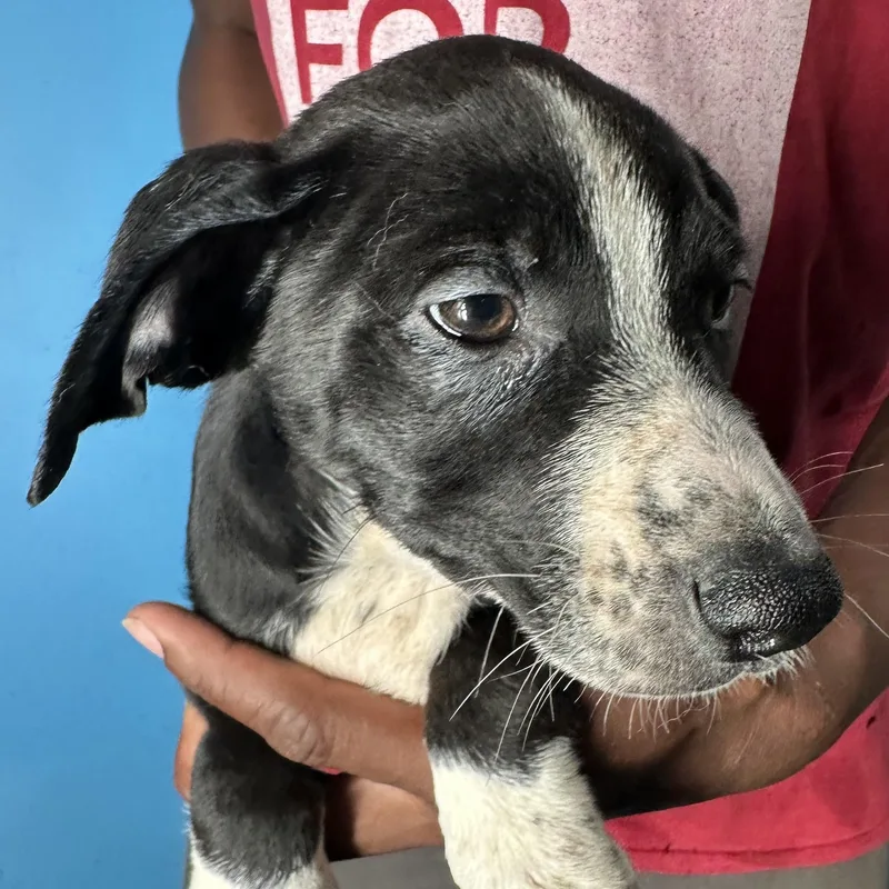 Jasper  Local April thumbnail 6