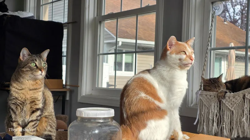 Murray thumbnail 2