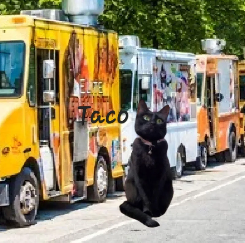 Taco Missfoodie thumbnail 3