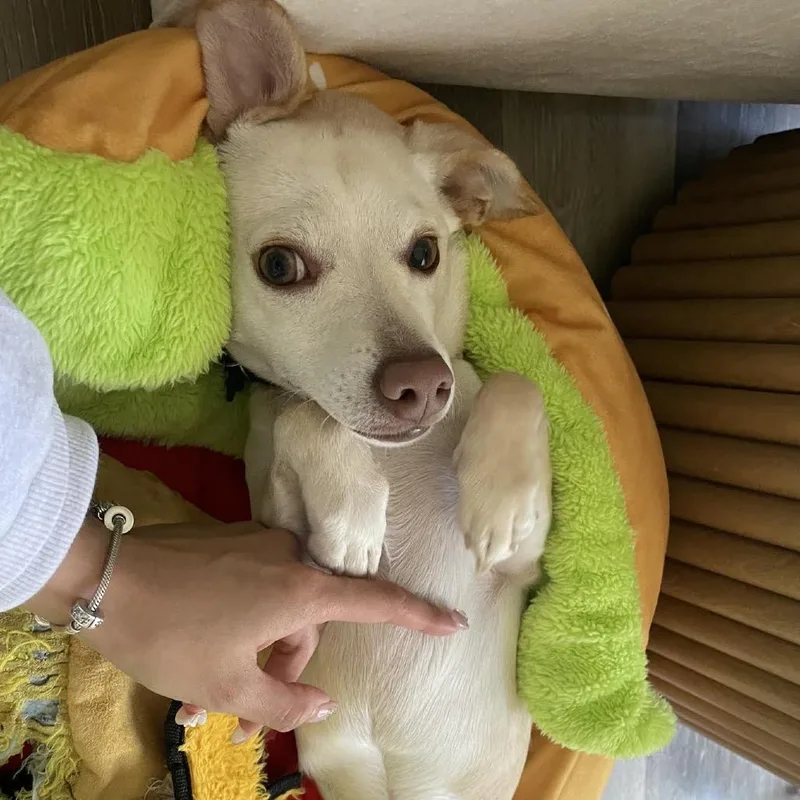 Mateo thumbnail 3