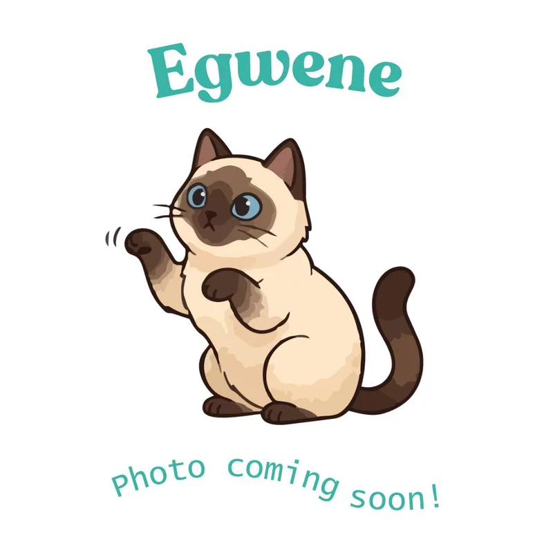 Egwene thumbnail 4