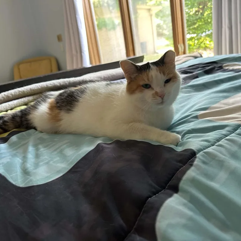 Millie thumbnail 2