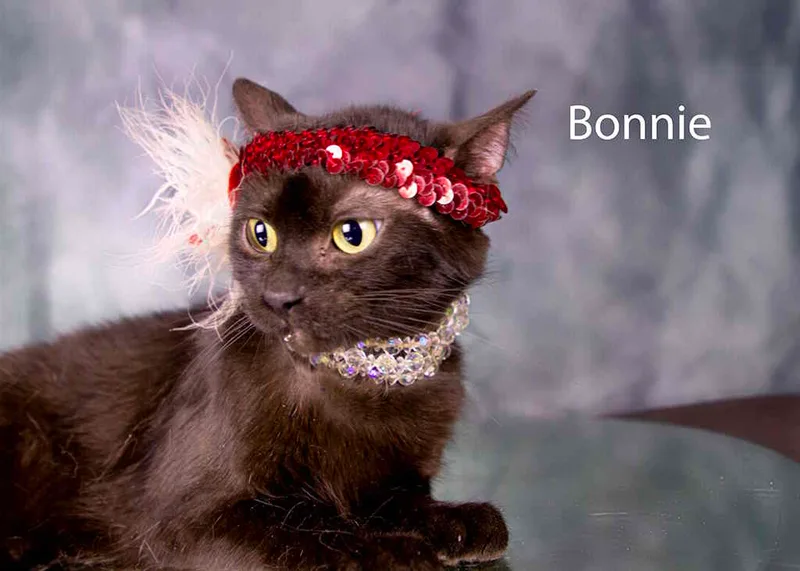 Bonnie thumbnail 2
