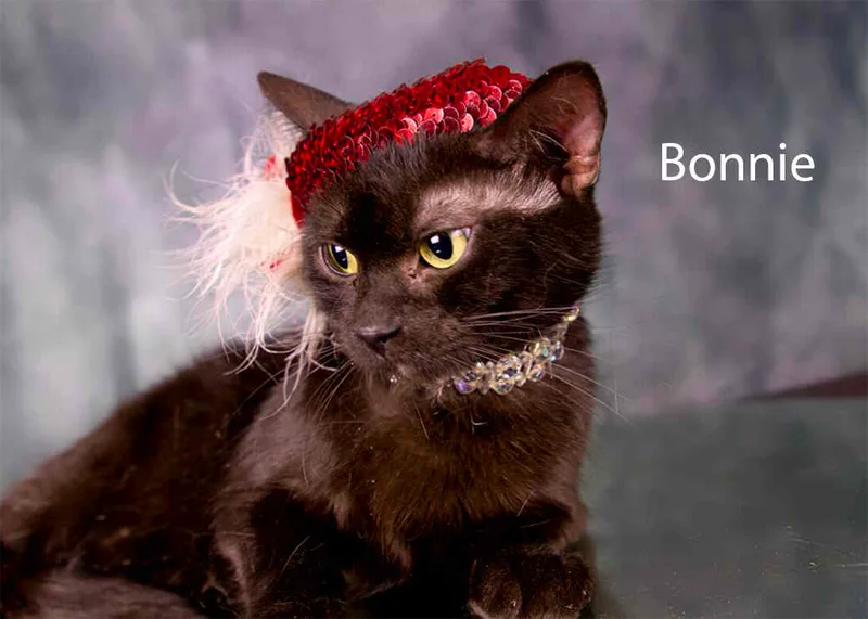 Bonnie thumbnail 3