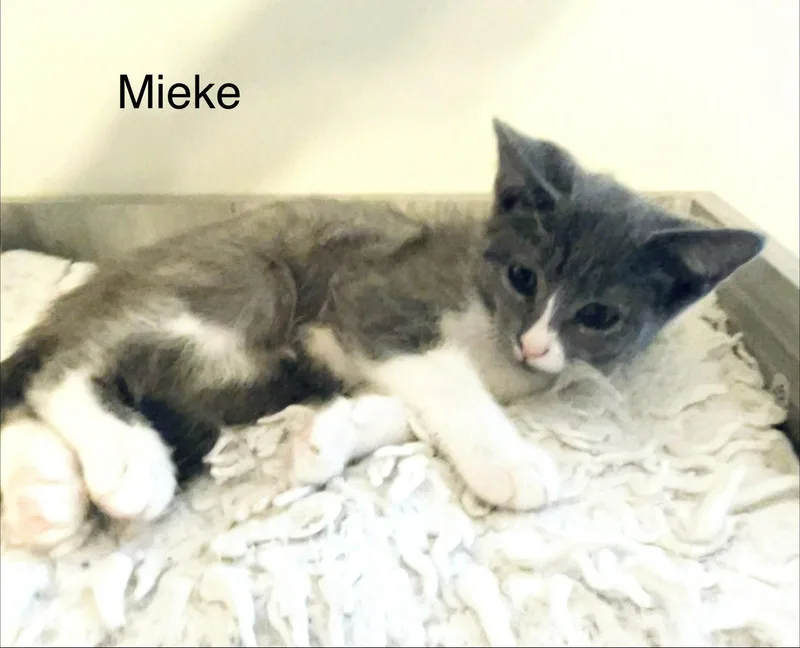 Mieke thumbnail 2
