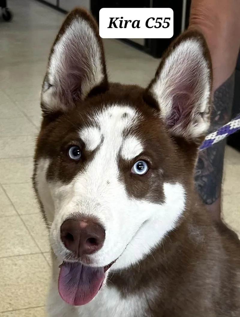 Kira
