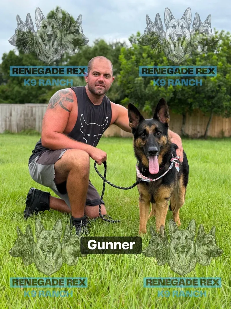Gunner thumbnail 3