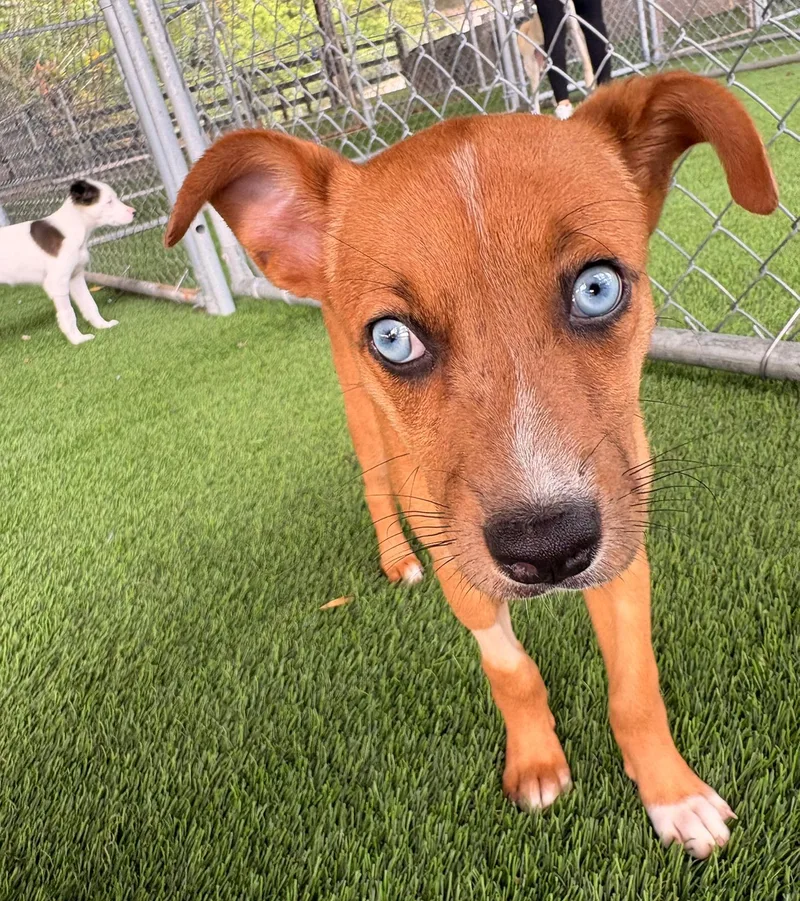 Andy thumbnail 3